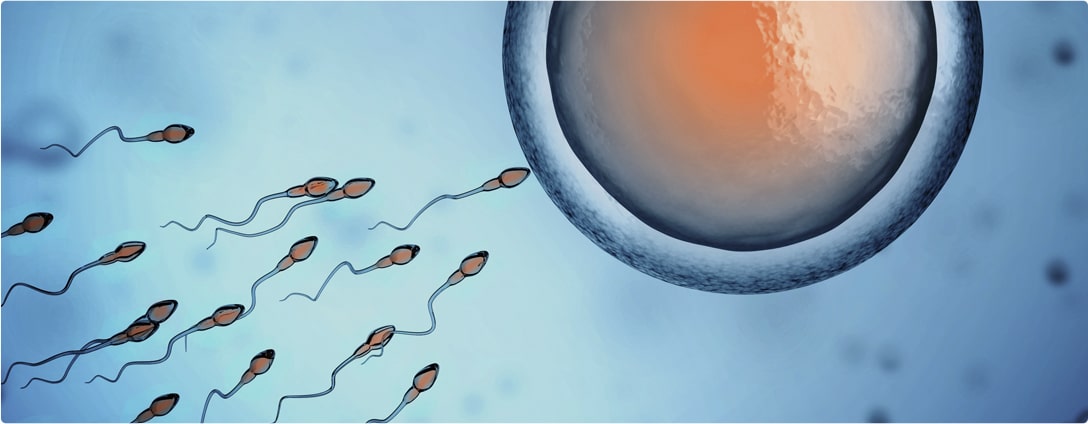 In Vitro Fertilization, IVF